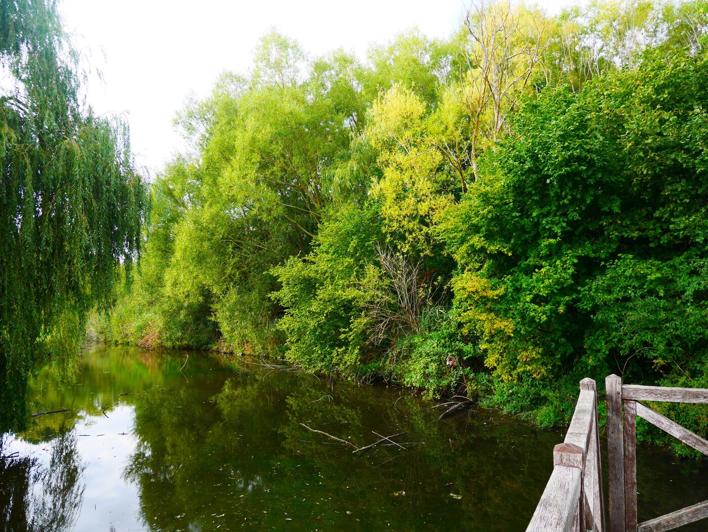 A Epernon (Eure-et-Loir), la mairie entend "valoriser" une zone humide au bord de la Drouette. Les associations, qui dénoncent une artificialisation des sols, ont perdu en justice.  DR